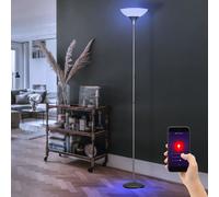 Smart Home Lampadaire Plafonniers App et commande vocale Lumière dimmable dans un ensemble comprenant des ampoules LED RVB