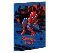 Rnk Verlag Carton À Dessin "Marvel Spiderman", Carton, A3