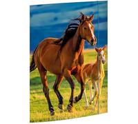 RNK Verlag RNK 45353 - Chemise à dessin Free Horses 310 x 440 mm DIN A3 avec fermeture élastique, 1 pièce