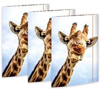 RNK - Verlag RNK 45359-3 - Chemise à dessin Safari 310 x 440 mm, 3 pièces, DIN A3, avec fermeture élastique