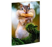 RNKVERLAG 45375 Chipmunk Classeur à dessin 310 x 440 mm pour documents DIN A3, fermeture élastique, 1 pièce