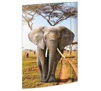RNK Carton à dessin 'Éléphant' A3 (310 x 440 mm) fermeture élastique 1 pièce
