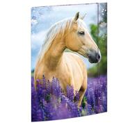 RNKVERLAG Classeur à dessin « Rêves de chevaux » 310 x 440 mm, pour formats jusqu'à DIN A3, avec fermeture élastique, 1 pièce
