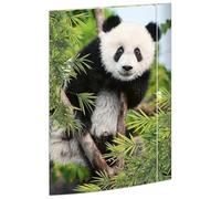 RNKVERLAG Porte-documents « Panda » 310 x 440 mm, pour formats jusqu'à A3, avec fermeture élastique, 1 pièce