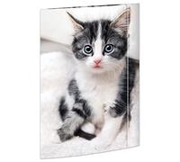 RNKVERLAG RNK 45331 Chemise à dessin Cat 310 x 440 mm DIN A3 avec fermeture élastique
