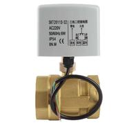 Robinet à boisseau sphérique motorisé, DN50, 220V AC, à deux voies, en laiton