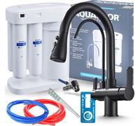 Robinet de cuisine 3 voies Ari Nordic avec filtre Aquaphor Morion, douchette extractible, bec pivotant, noir mat