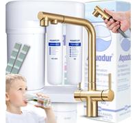 Robinet de cuisine Ari Venom 2 3 voies, douchette extractible, bec pivotant 360, pour filtre a eau, dore brosse