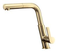 Kitchen faucet with pull-out spout