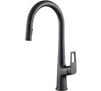Avizar Robinet de Cuisine Extensible à Double Fonction Bec Haut Noir