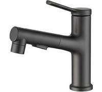 Avizar Robinet de Lavabo Extensible avec Fonction de Rinçage Buccal Noir