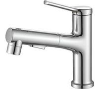 Avizar Robinet de Lavabo Extensible Multifonction avec Fonction Rinçage Buccal Argent
