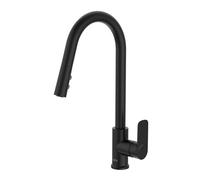 Cala Mitigeur Évier À Bec Tube Mobile Incurvé Douchette Extractible 2F Noir Mat - ROCA A5A816ENB0