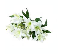 rockible Bouquet Artificiels Composition Florale Plantes Décoratives Fleurs Faux Tissu en Soie Fin avec Fleurs à Grand Diamètre Visuelle Marquée sans Soleil , Blanc
