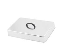 rockible Cloche à Fromage, Couvercle pour Hamburger, Couvercle de Gril Rectangulaire, Cloche de Gril Universelle en Acier Inoxydable pour Steaks, Hamburgers, S, 43.5 X 28.3 X 6.6 Cm