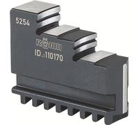 Röhm Mâchoire rotative DB, taille 100/110, jeu de 3 mâchoires, DIN 6350 mâchoire étagée vers l'intérieur - 110166