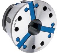 Röhm SPANNZANGE CAPTIS GT 100 D92,0 - 1274447