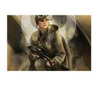 Rogue one key forces - magnetic metal poster 45x32 - jyn G