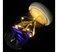 ROMISBABA Lampe LED avec Consommation Faible Rose Éternelle sous Dôme en Verre Bleu Décoration Maison et Bureau Élégante