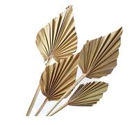 Ronlok Lot de 8 grandes feuilles de palmier séchées naturelles - Décoration d'intérieur pour style art - Décoration murale - Décoration de mariage