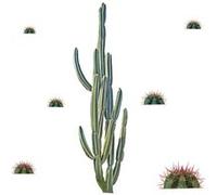 ROOMMATES Stickers - Cactus Géant - Hauteur 92.71 cm Multicolors