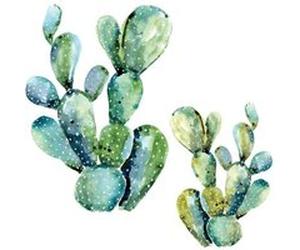 ROOMMATES Stickers - Cactus Verts Fluorescents - Hauteur 22,9 cm Multicolors G