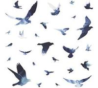 ROOMMATES Stickers - Oiseaux Bleus - Hauteur 92,71 cm Multicolors