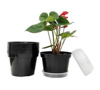 RooTrimmer Lot de 12 Pots de Fleurs en Plastique de 20,3 cm avec soucoupes Transparentes pour Plantes de Culture d'intérieur/extérieur (Couleur Noire)
