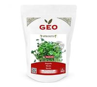Roquette - Graines à Germer Bio 300 g • Marque GEO • Saveur Poivrée • Riche en Vitamines A-C-K & Minéraux • Germination Rapide 4-8 J • Sachet Refermable - EAN 8003419028674