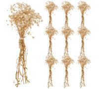 RORPOIR 10 Bouquets de Fleurs Séchées Gypsophile Beige pour ou sans Entretien Décoration Réaliste Bouquet Naturel Solide Café Librairie