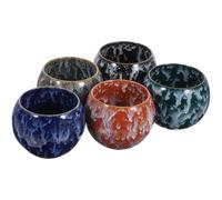 RORPOIR Coffret de 5 Tasses de Thé Kung Fu en Céramique avec Émail Jianzan - Convient pour Maison et Cérémonie du Thé