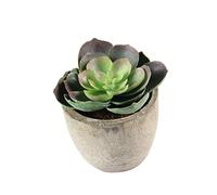 RORPOIR Plante Grasse Artificielle en Plastique avec Pot Gris, Décoration Réaliste et Créative pour Salon, Chambre ou Table Basse, Plante Succulente Fausse