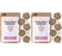 Rose de Jericho, Chajarat Mariam x5 - Format S - Plante Favorisant la Fertilité - Anastatica Hierochuntica [Satisfait ou Remboursé] (Lot de 2)