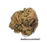 Rose de Jericho Porte-Bonheur