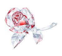 Rose en fleur, Rouge OS