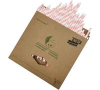 Rose et Blanc Rayées Pailles en Papier, Lot de 100 Rose Rayures Pailles Jetable pour Anniversaire, Mariage, Fête Prénatale, Célébration