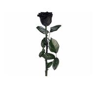 Rose éternelle avec tige - noir