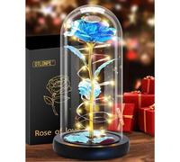 Rose éternelle dans un verre avec lumière LED - Cadeau de Noël romantique