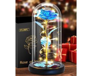 Rose éternelle dans un verre avec lumière LED - Cadeau de Noël romantique