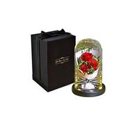 Rose éternelle La Belle et la Bête MARSEE avec 3 Roses et Lumières LED