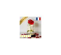 Rose Éternelle LED Durable Résistant sous Dôme Cadeau Saint Valentin Noël Mères
