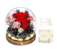 Rose Éternelle Rouge sous Cloche avec LED, Fleur Éternelle, Cadeau Femme | Fleurs Préservées sans Entretien, Cadeau Noël, Saint-Valentin, Fête des Mères ou Anniversaire, pour Épouse, Copine ou Maman
