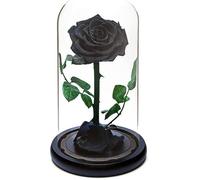 Rose éternelle sous Cloche en Verre Fleur Noire préservée Jusqu’à 5 Ans Cadeau fabriqué à la Main pour Femme Anniversaire (Noire)