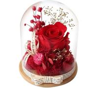 Rose Eternelle sous Cloche - Naturelle - Rouge - Cadeau pour Femmes - Saint-Valentin Fête des Mères