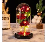 Rose Eternelle sous Cloche VORMOR avec Lumières LED Cadeau Fête des Mère,Anniversaire,Mariage