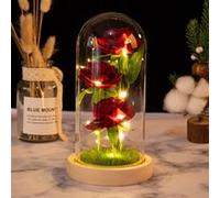Rose Eternelle sous Cloche VORMOR avec Lumières LED,Cadeau Romantique pour Fête des Mères,Anniversaire Rose G