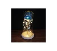 Rose Eternelle sous Cloche VORMOR avec Lumières LED pour Fête des Mères,Saint-Valentin,Mariage - Bleu