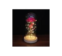 Rose Eternelle sous Cloche VORMOR avec Lumières LED pour Fête des Mères,Saint-Valentin,Mariage - Rose