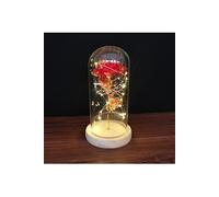Rose Eternelle sous Cloche VORMOR avec Lumières LED pour Fête des Mères,Saint-Valentin,Mariage - Rouge