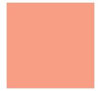 Vallejo Peinture acrylique pour modélisme 17 ml Salmon Rose